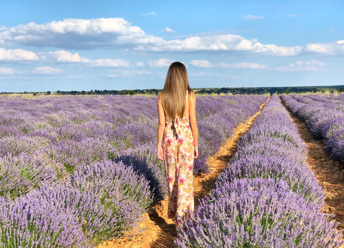 IMG-5622-Facetune-13-08-2018-13-10-50